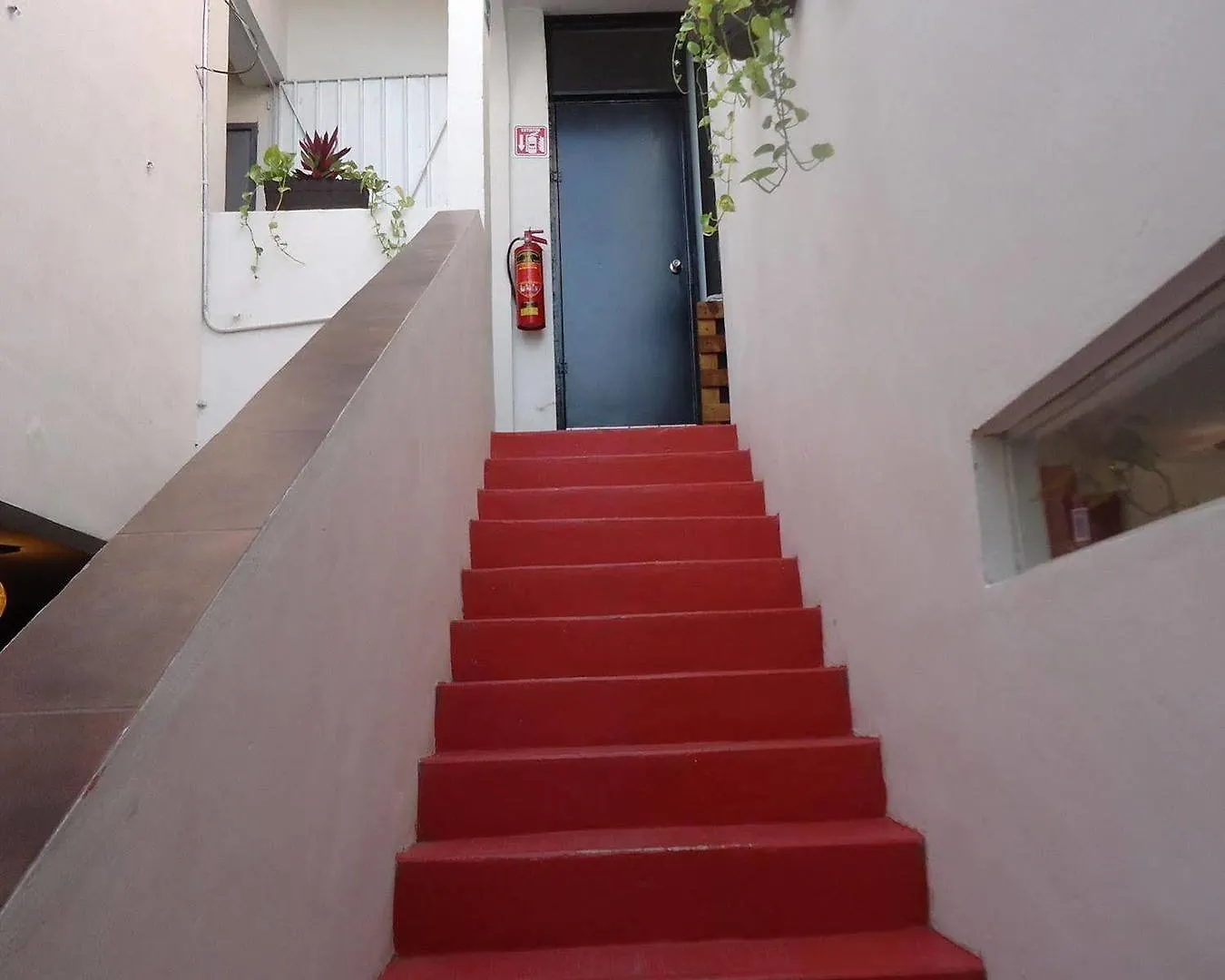 Humble Bumble Hostel Playa del Carmen